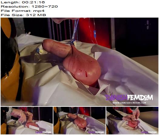 Danish Femdom  Experimental CBT preview