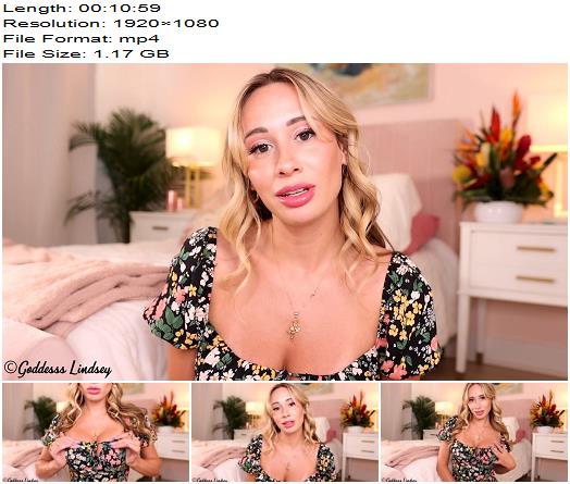 Goddess Lindsey  Sex Life of a Loser preview