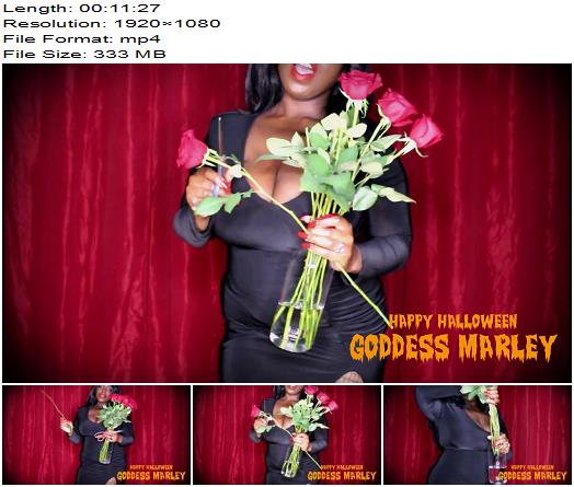 Goddess Marley  HALLOWEEN  Morticias Red Roses  CBT Instruction preview