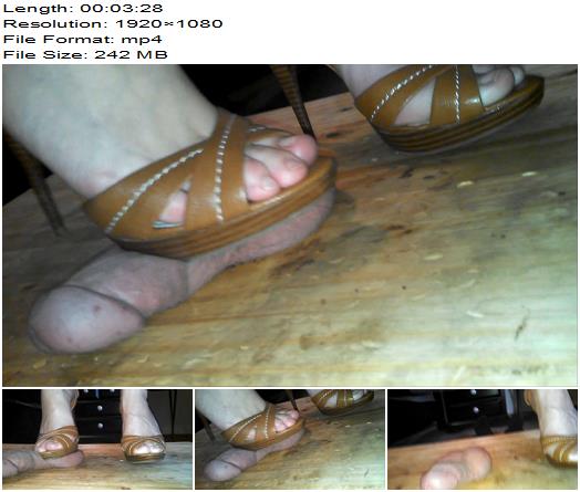 Jewel Stone Wooden  Heels Attack His Package preview