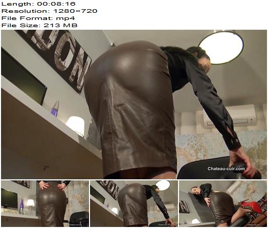 Kinky Leather Clips  Brown leather skirt JOI  Fetish Liza preview