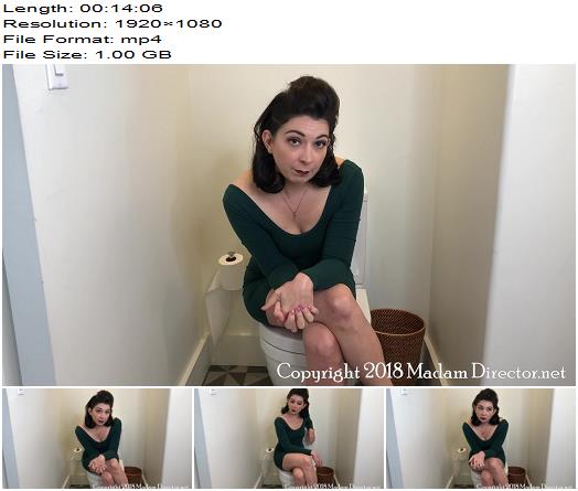 Madam Director  Good Party Toilet Etiquette preview