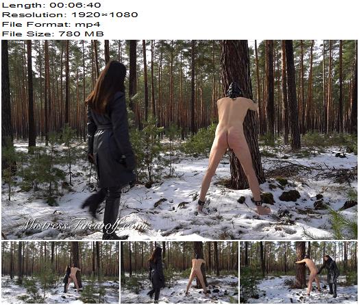 Mistress Firewolf  Disciplined In The Cold Winter Forest preview