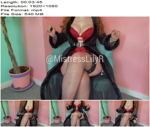 MistressLilyR  BlackmailFantasy Trial Encouragement preview