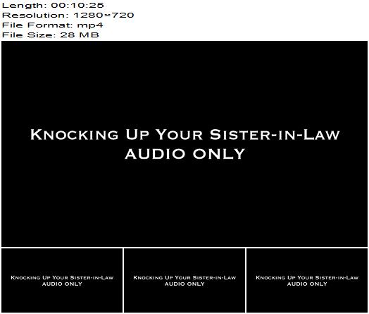 Nina Crowne  Knocking Up Your SisterinLaw AUDIO preview