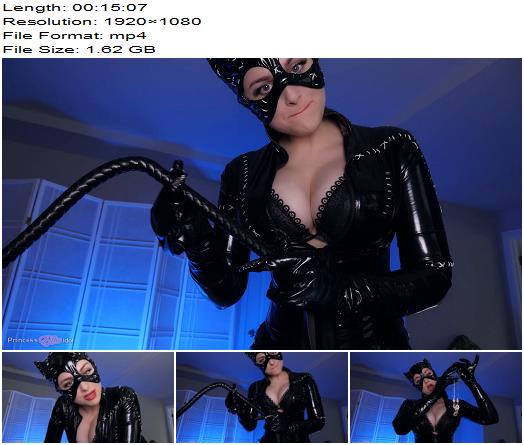 Princess Ellie Idol  CATWOMAN BREAKS IN AND GIVES A RISKY JOI preview