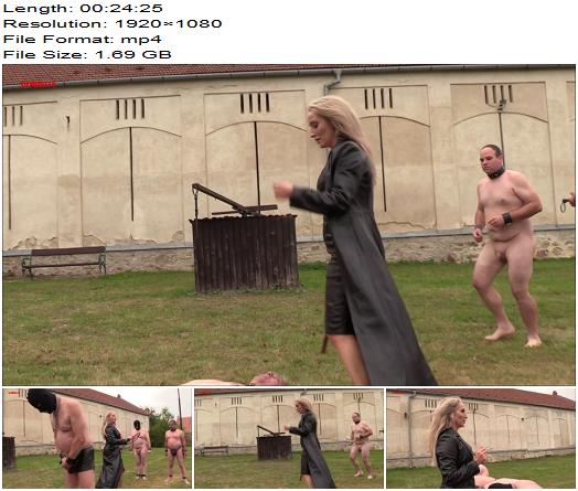 OWK  Dominity  Useless Slaves Meet Mistress Courtney preview