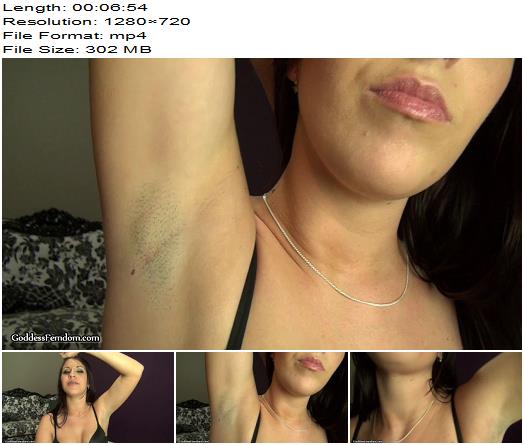 Amiee Cambridge  Stinky Armpit Stubble preview