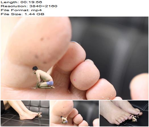 Anna goddess Fantasy Wonderland  4K Yide Foot Slave Giantess preview