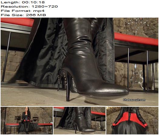 Kinky Leather Clips  Locked for leather worship  Fetish Liza preview