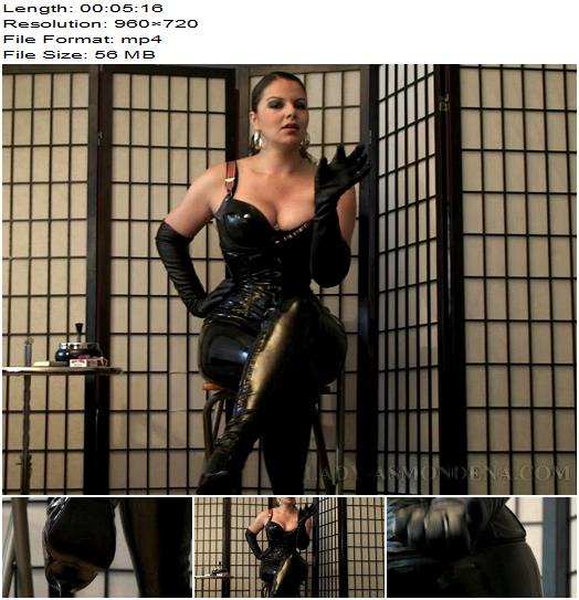 Lady Asmondena  Facesitting And Spitting For Payslave 1 preview