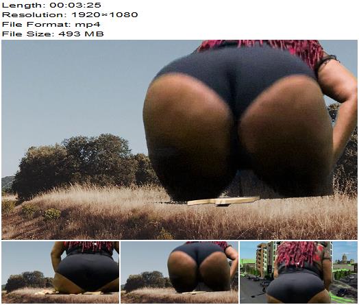 MXDominionakaCrushGoddess Clips  Giantess Uses Fat Ass To Knock Down Buildings preview