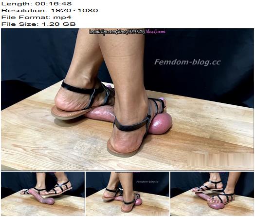 MissLuxmi  Mercilessly Stomped And Stepped On Under My Strappy Flat Sandals preview