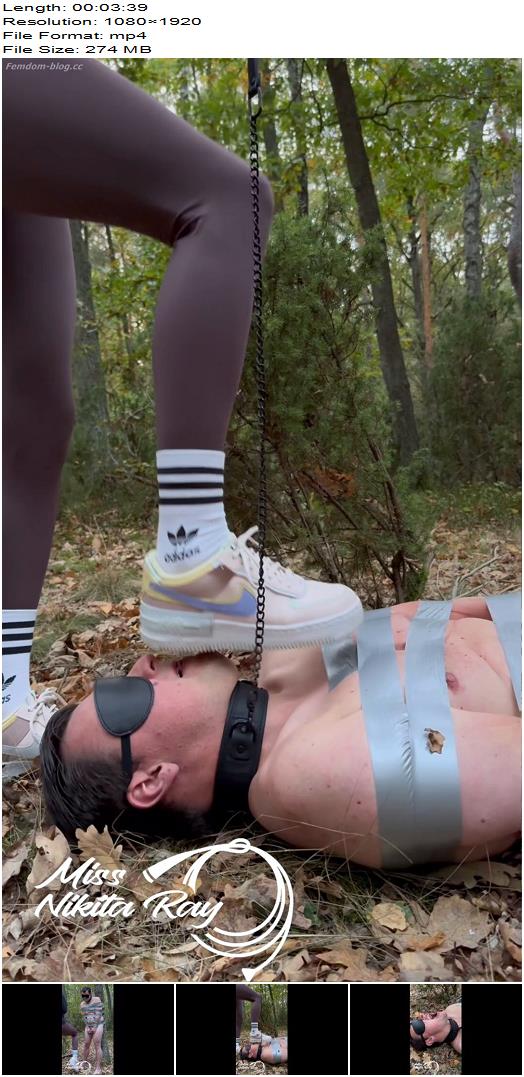 Nikita Ray  Pig in the Forest  Trampling Ballbusting Humiliation Spit Fetish preview