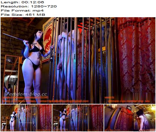 We Love Ballbusting  Mistress Celene  2023 Record Breaking Damage Finale preview